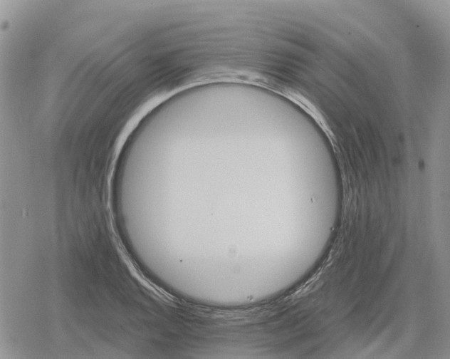 X0000078281128200611251411