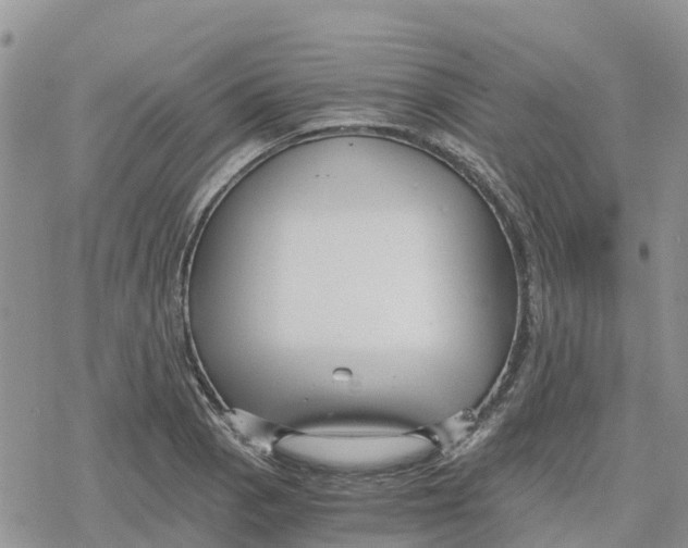 X0000078281129200611251411