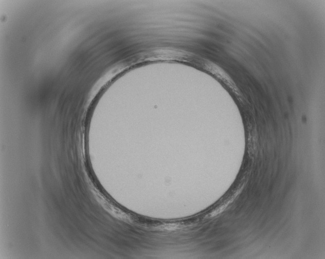 X0000078281130200611251411