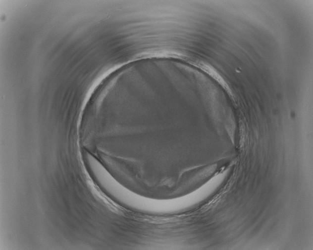 X0000078281132200611251411