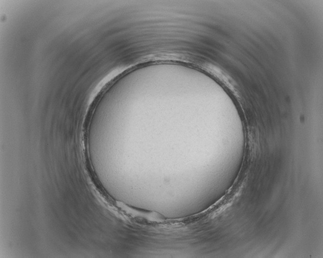 X0000078281133200611251411