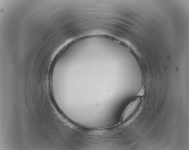 X0000078281134200611251411