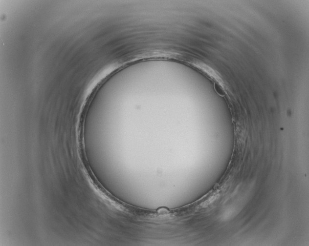 X0000078281135200611251411