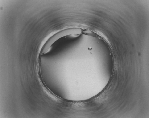 X0000078281136200611251411