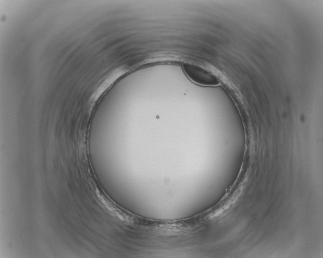 X0000078281137200611251412