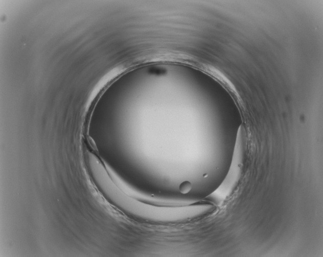 X0000078281138200611251412