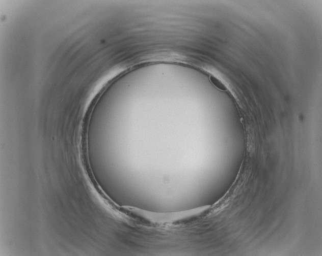 X0000078281139200611251412