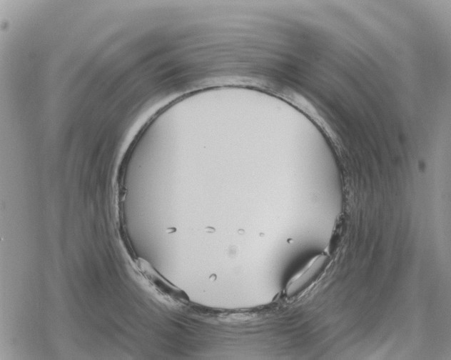 X0000078281140200611251412