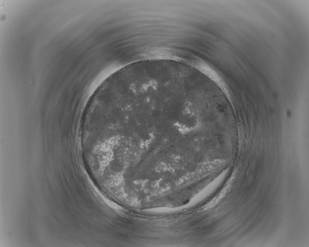 X0000078281141200611251412