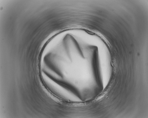 X0000078281142200611251412