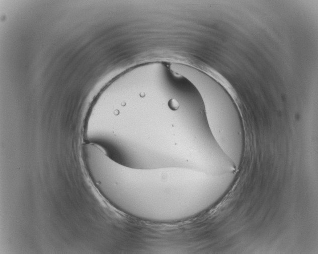 X0000078281144200611251412