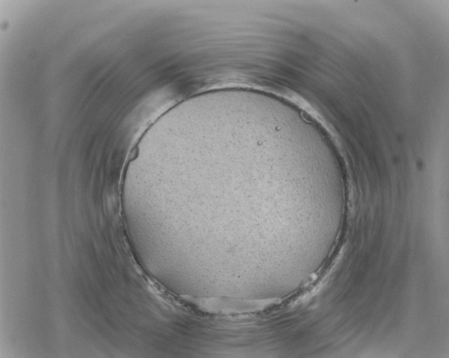 X0000078281145200611251412