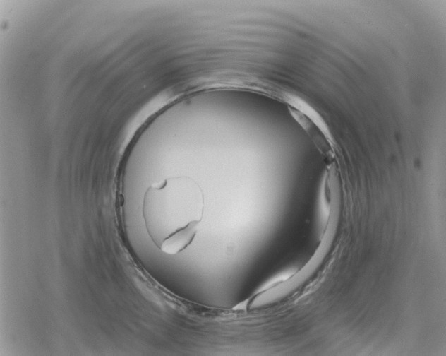 X0000078281146200611251412