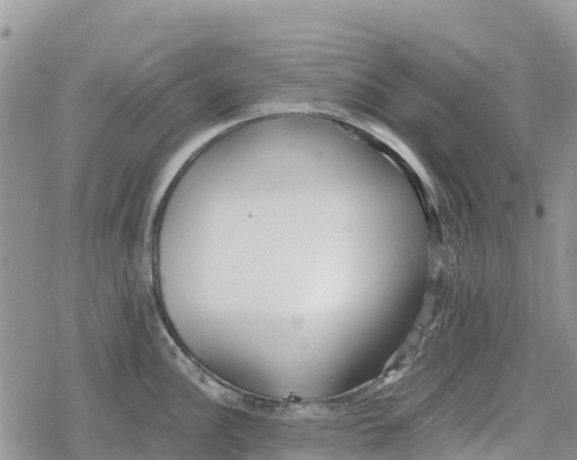 X0000078281148200611251412