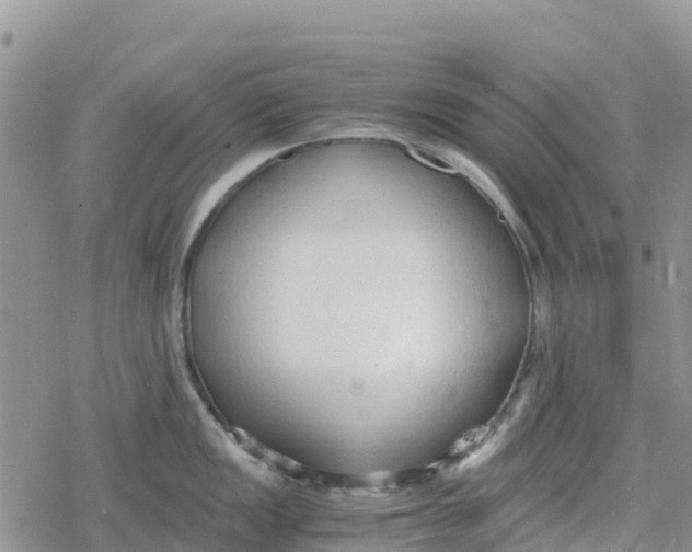 X0000078281149200611251412