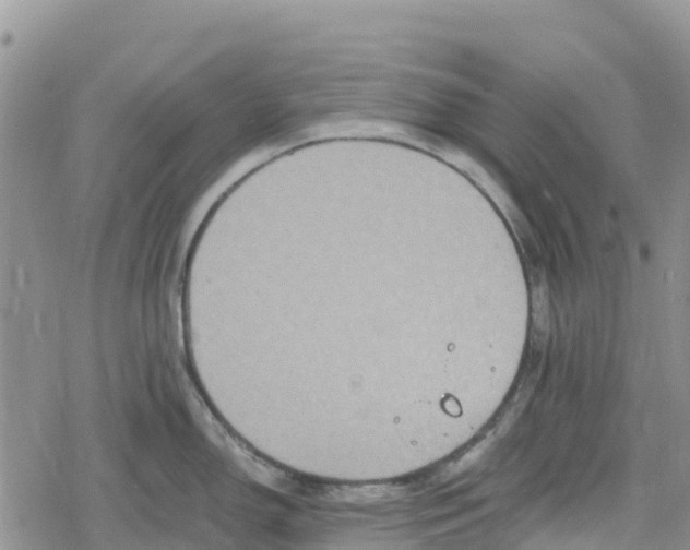 X0000078281150200611251412