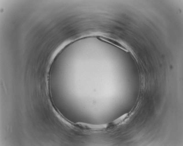 X0000078281151200611251412