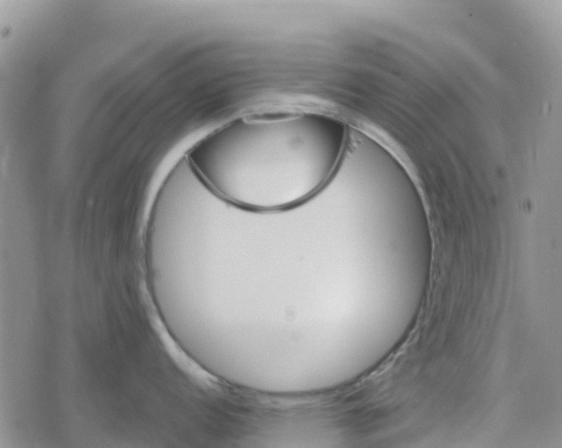 X0000078281152200611251412