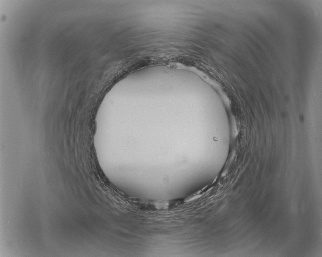 X0000078281153200611251411