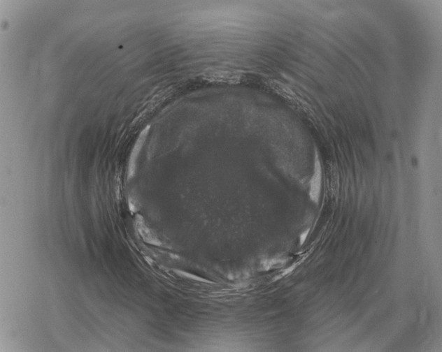 X0000078281154200611251411