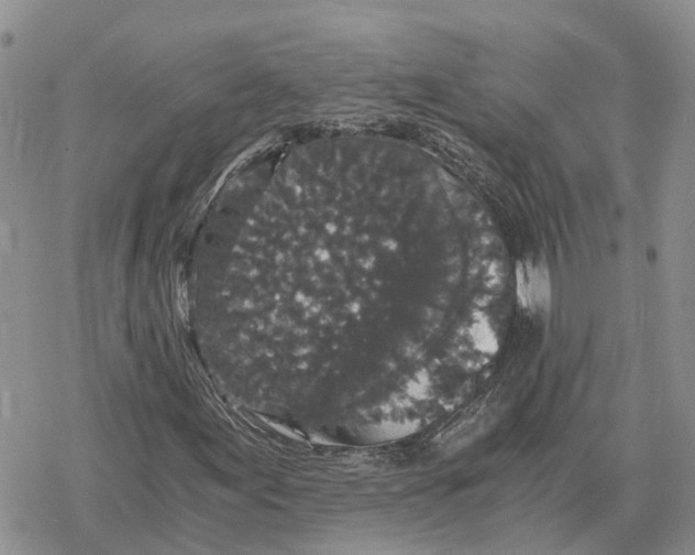 X0000078281155200611251411