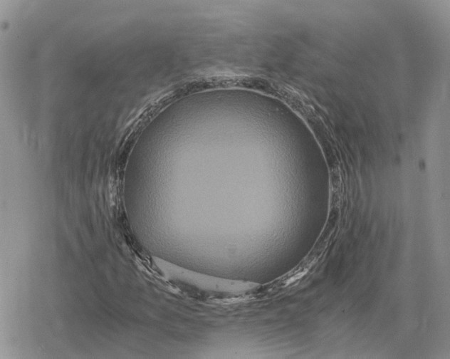 X0000078281157200611251411