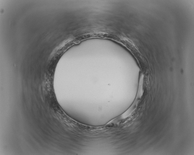 X0000078281159200611251411