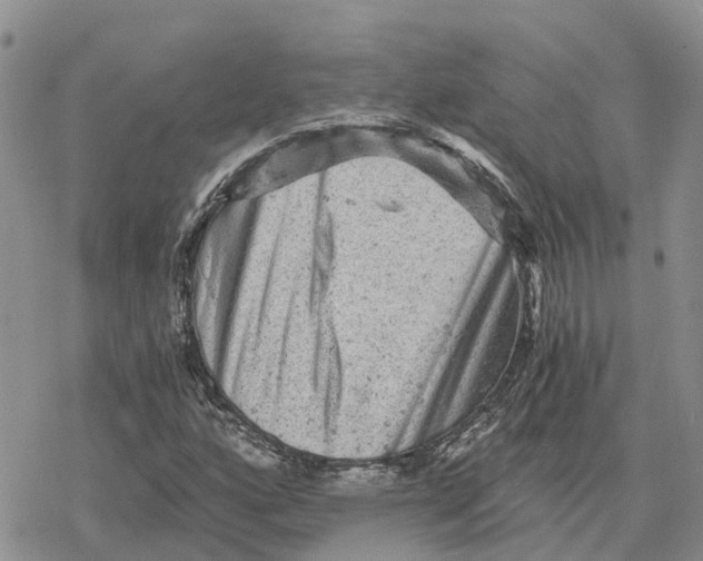 X0000078281160200611251411