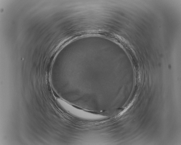 X0000078281161200611251411