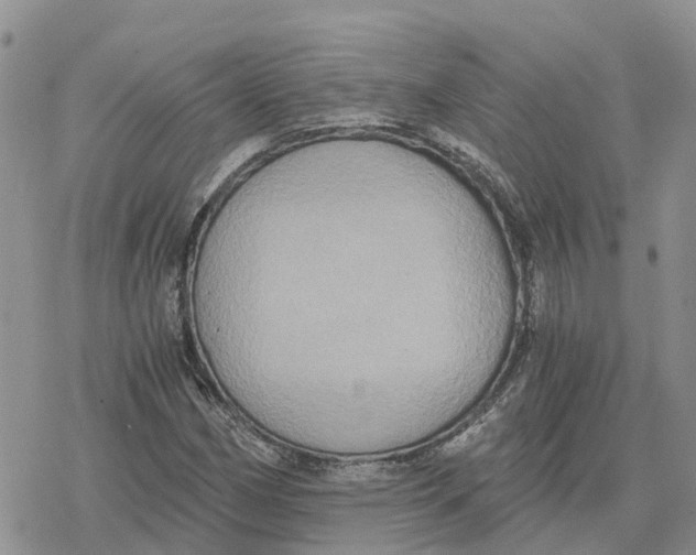 X0000078281162200611251411