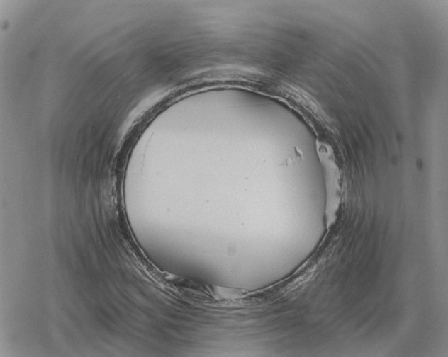 X0000078281164200611251411