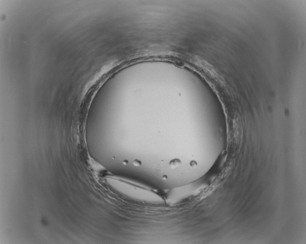 X0000078281165200611251411