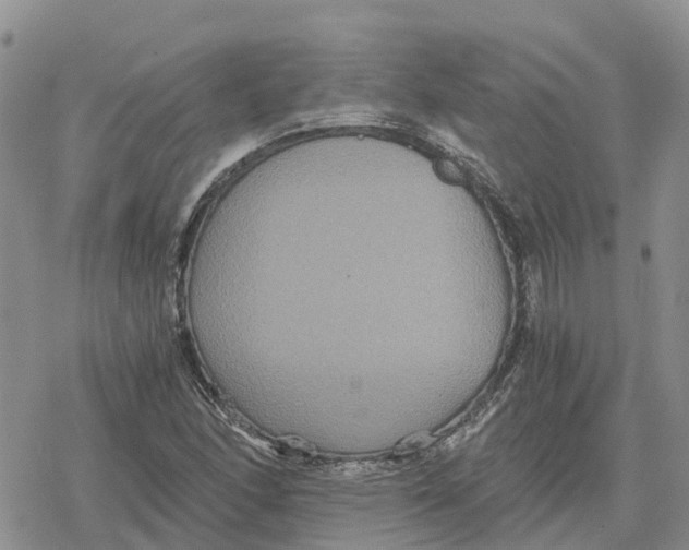 X0000078281166200611251411