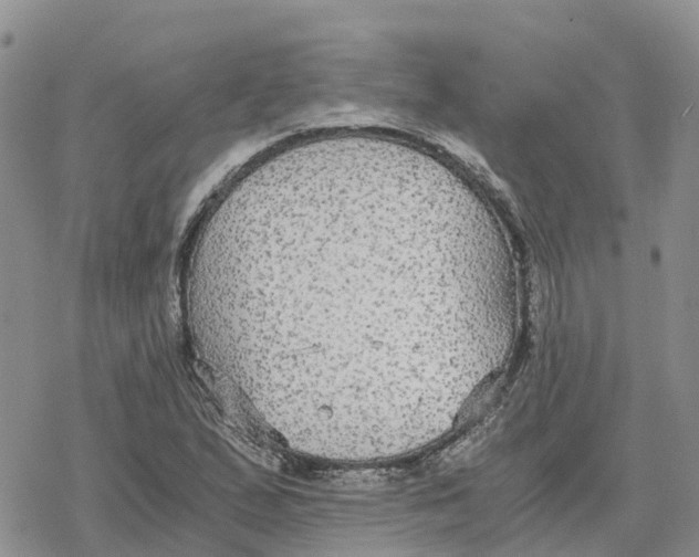 X0000078281167200611251411