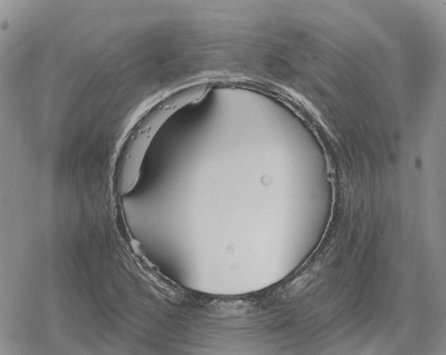 X0000078281168200611251411