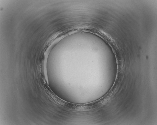 X0000078281169200611251411