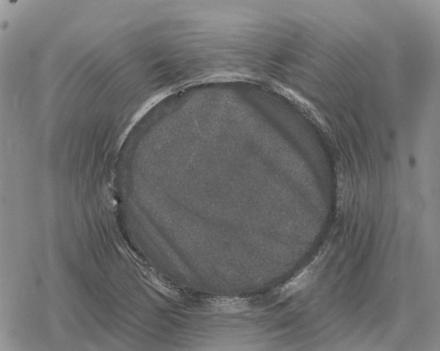 X0000078281170200611251411