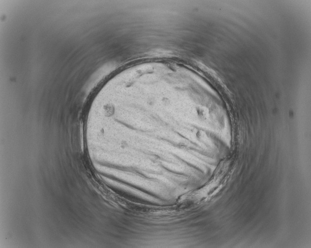 X0000078281171200611251411