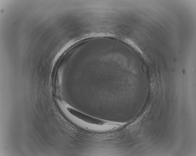 X0000078281173200611251411