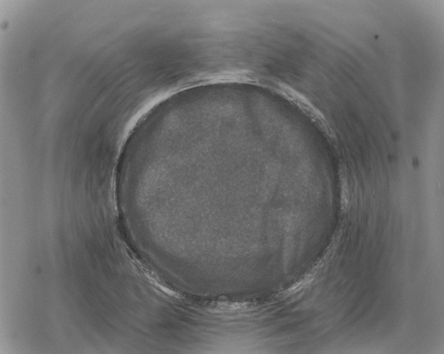 X0000078281174200611251411