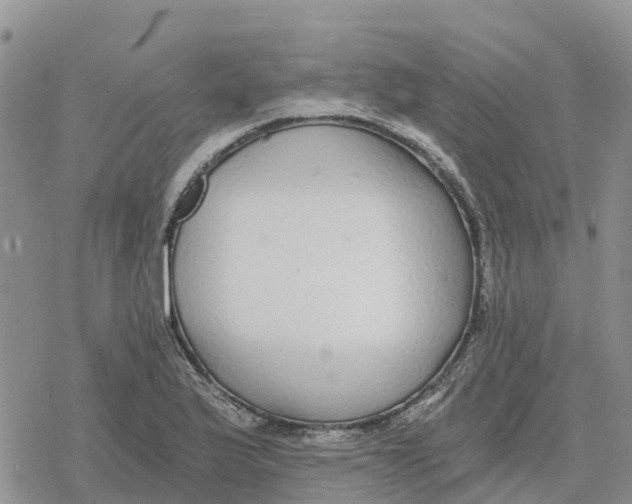 X0000078281175200611251411