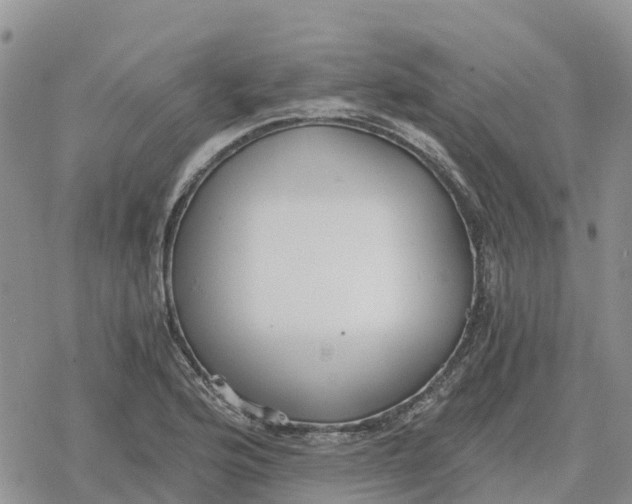 X0000078281176200611251411