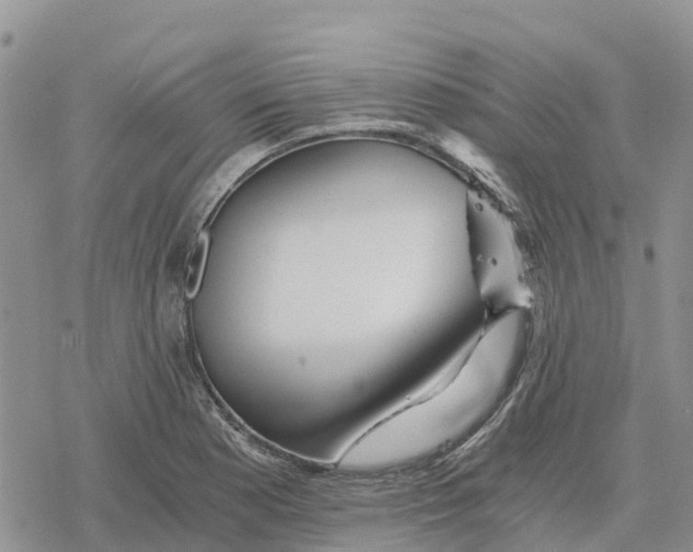 X0000078281177200611251411