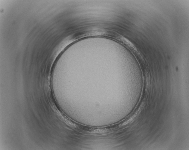 X0000078281178200611251411