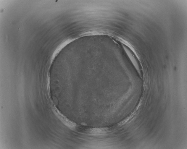 X0000078281179200611251411