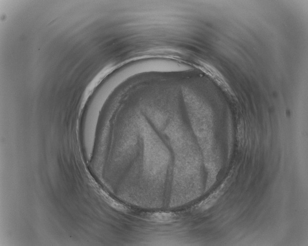 X0000078281180200611251411