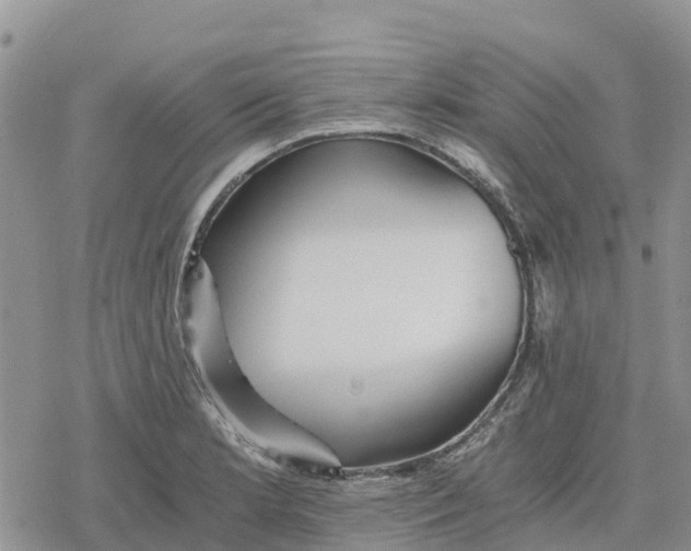 X0000078281181200611251411