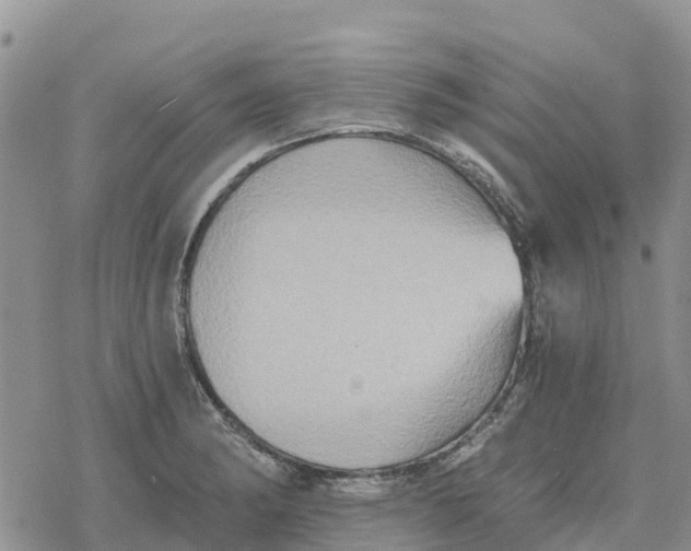 X0000078281182200611251411