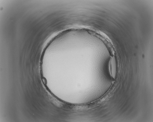 X0000078281183200611251410