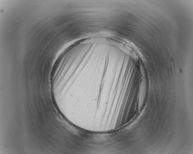 X0000078281184200611251410